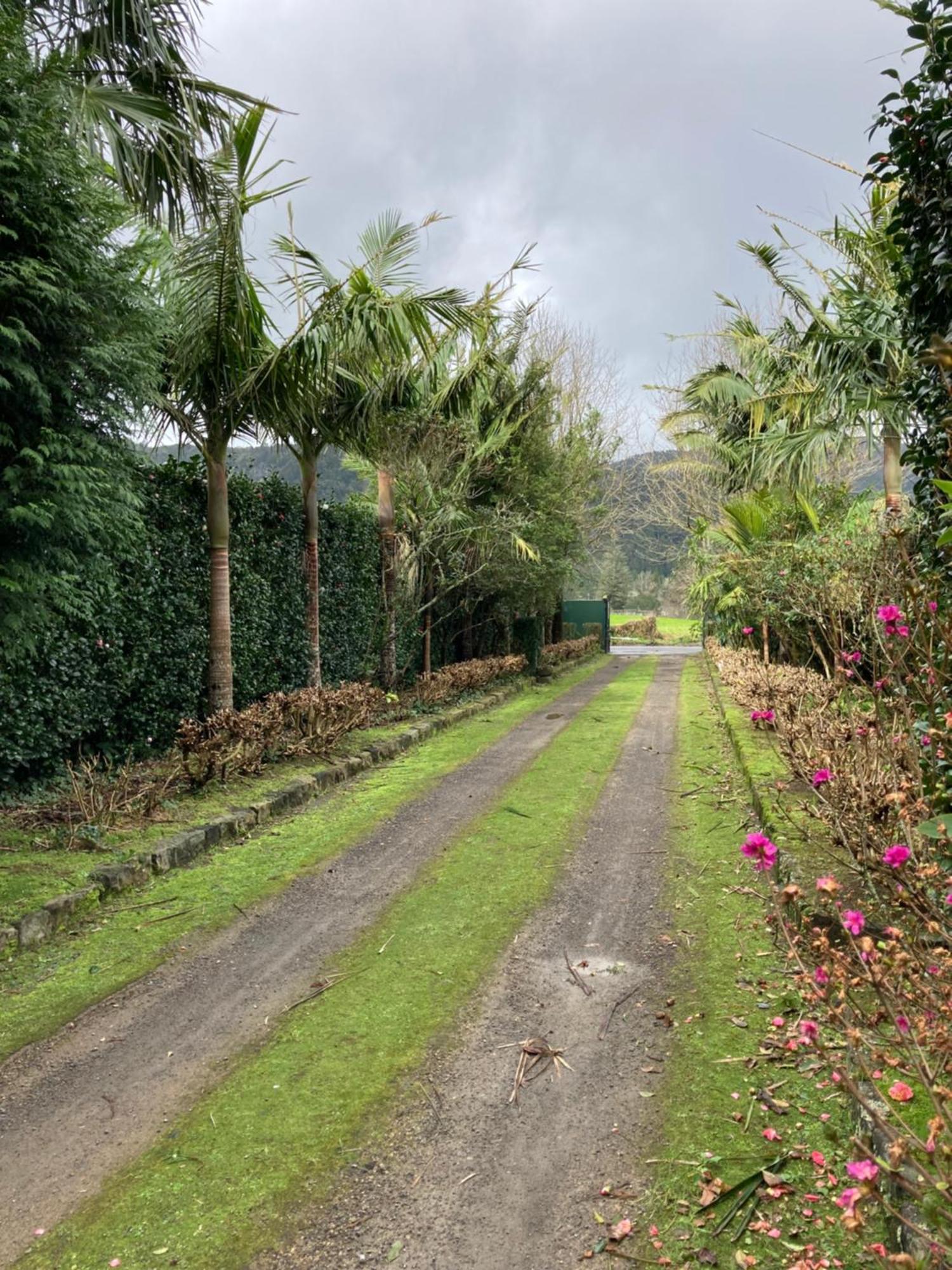 Quinta De Santana - Queimadas Furnas  Ngoại thất bức ảnh