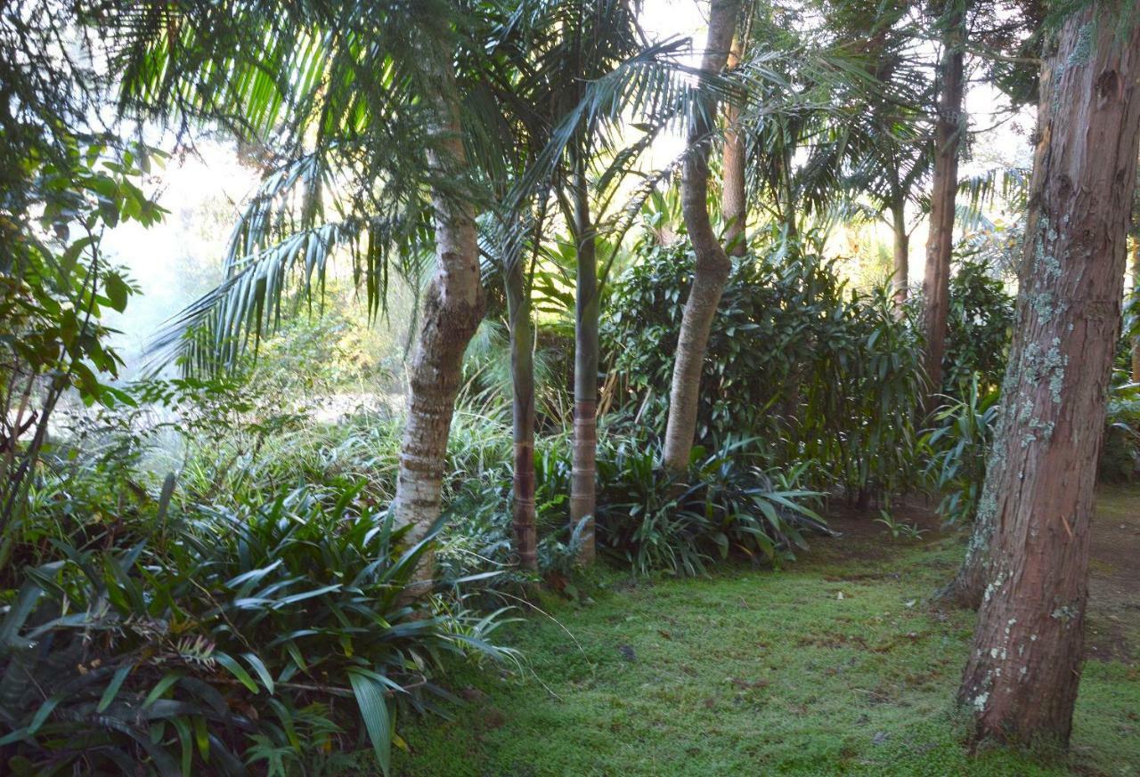 Quinta De Santana - Queimadas Furnas  Ngoại thất bức ảnh